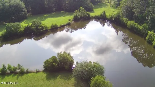 $309,150 | 0 Thompson Lane, Carriere, MS 39426