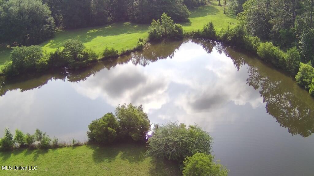 0 Thompson Lane Carriere, MS 39426 - Photo 12 of 22 183458_11