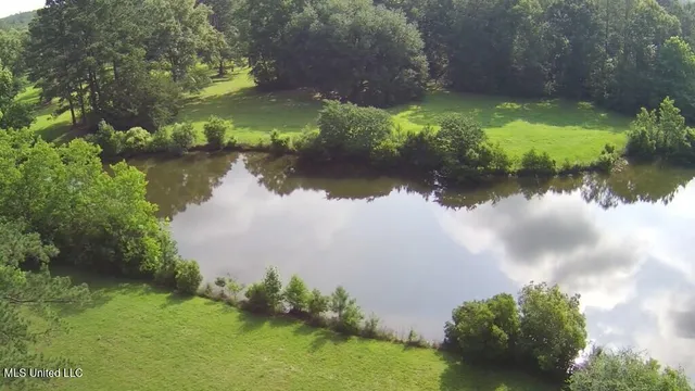 $309,150 | 0 Thompson Lane, Carriere, MS 39426