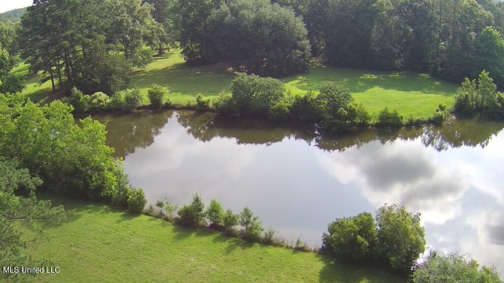 0 Thompson Lane Carriere, MS 39426 - Photo 13 of 22 183458_12