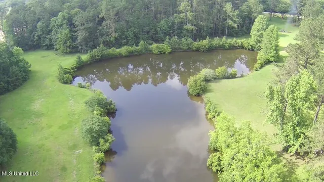 $309,150 | 0 Thompson Lane, Carriere, MS 39426