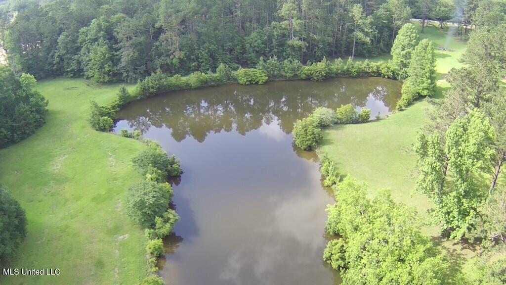 0 Thompson Lane Carriere, MS 39426 - Photo 14 of 22 183458_13