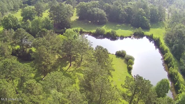 $309,150 | 0 Thompson Lane, Carriere, MS 39426