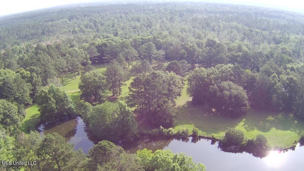 0 Thompson Lane Carriere, MS 39426 - Photo 16 of 22 183458_15