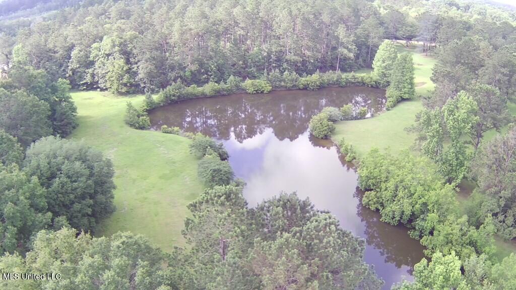 0 Thompson Lane Carriere, MS 39426 - Photo 17 of 22 183458_16