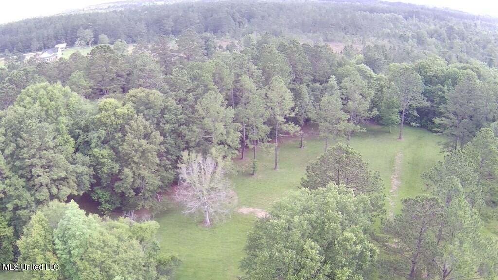 0 Thompson Lane Carriere, MS 39426 - Photo 18 of 22 183458_17