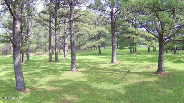 $309,150 | 0 Thompson Lane, Carriere, MS 39426