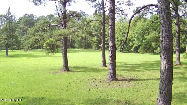 $309,150 | 0 Thompson Lane, Carriere, MS 39426