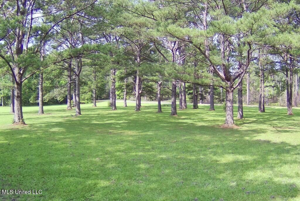 0 Thompson Lane Carriere, MS 39426 - Photo 22 of 22 183458_21