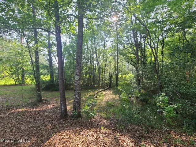 $309,150 | 0 Thompson Lane, Carriere, MS 39426