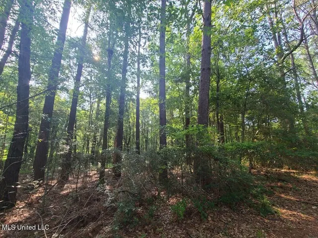 $309,150 | 0 Thompson Lane, Carriere, MS 39426