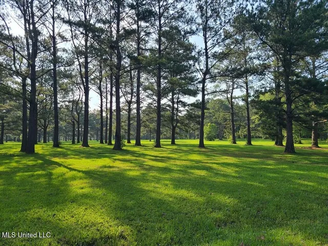 $309,150 | 0 Thompson Lane, Carriere, MS 39426