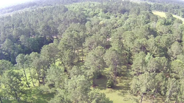 $309,150 | 0 Thompson Lane, Carriere, MS 39426