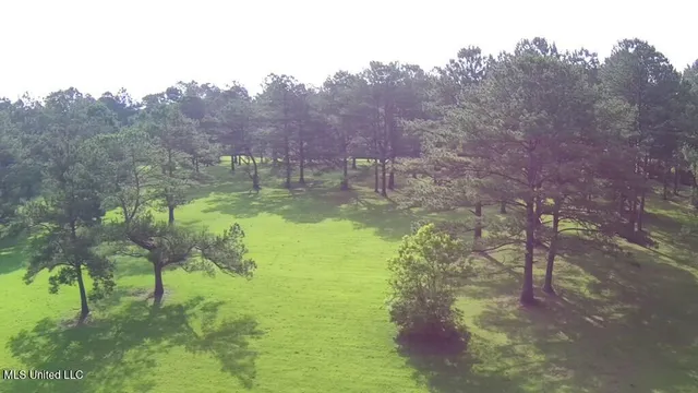 $309,150 | 0 Thompson Lane, Carriere, MS 39426