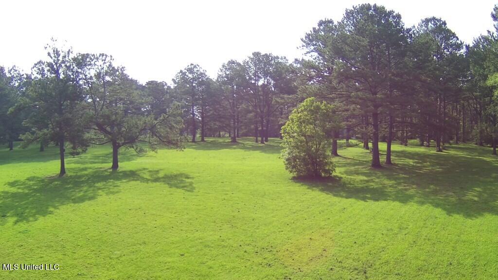 0 Thompson Lane Carriere, MS 39426 - Photo 9 of 22 183458_8