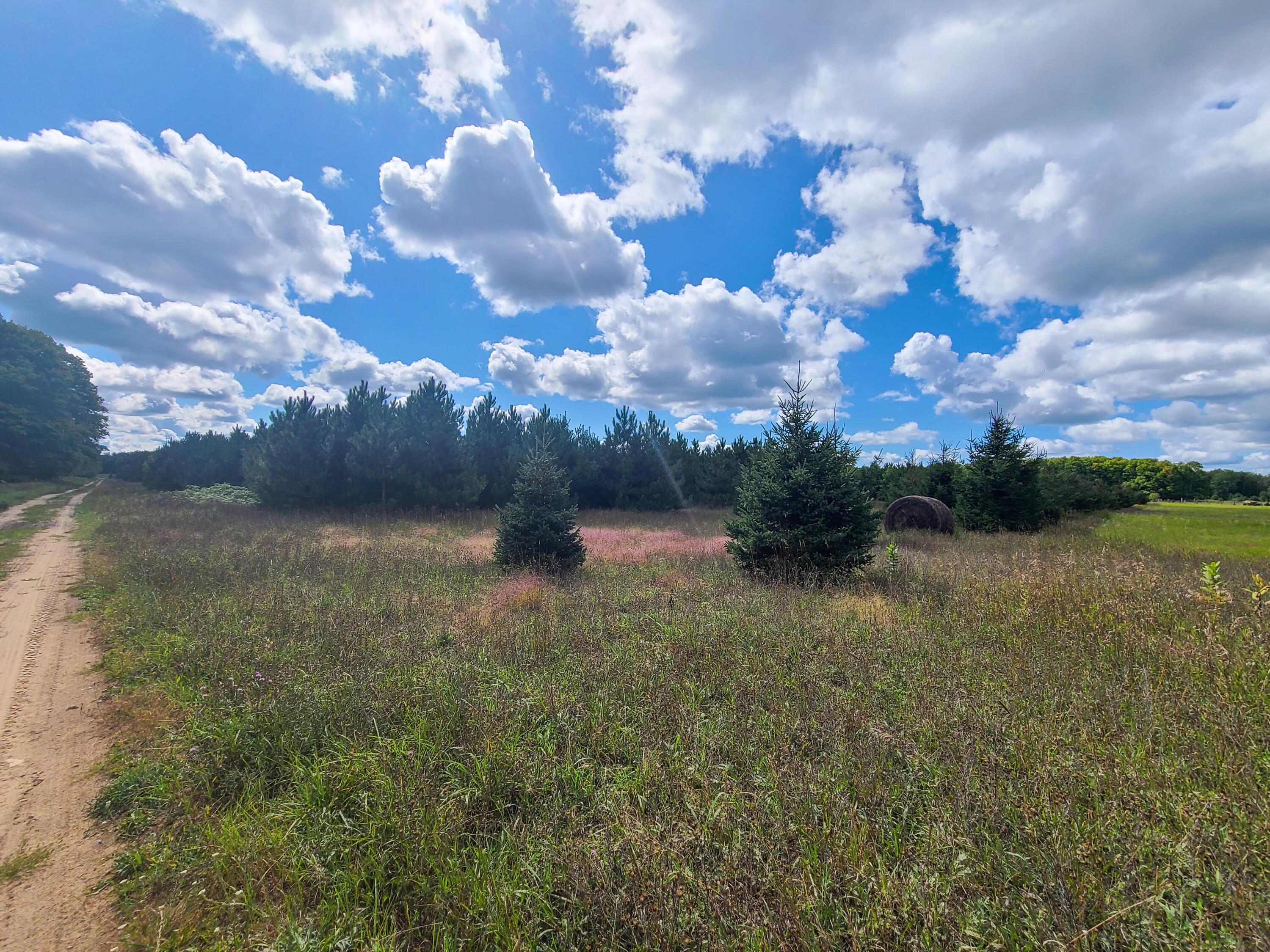 Olson Road Cheboygan, MI 49721 - Photo 6 of 15 Gallery Image 6