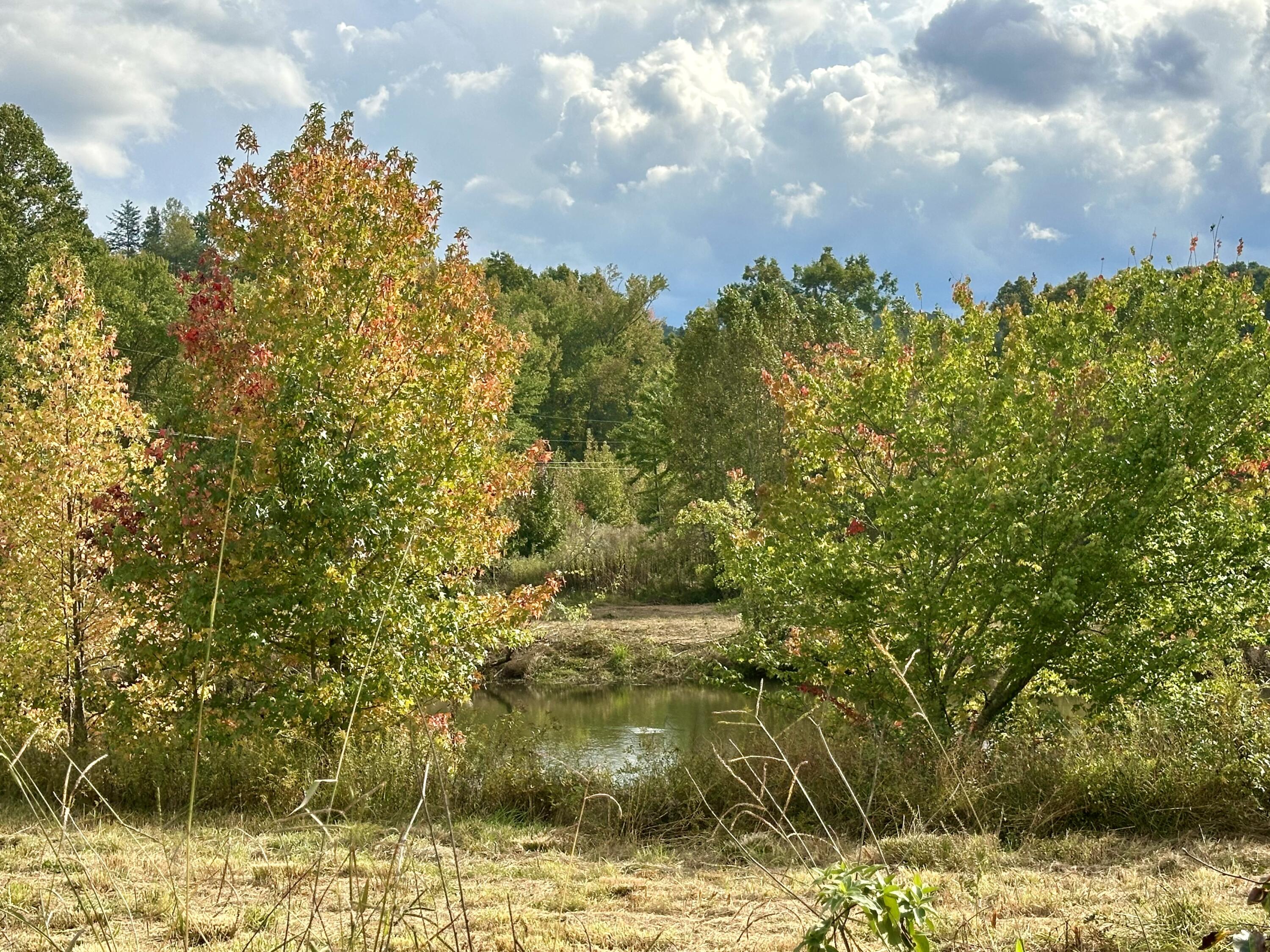1073 Old Way Road London, KY 40741 - Photo 19 of 35 POND