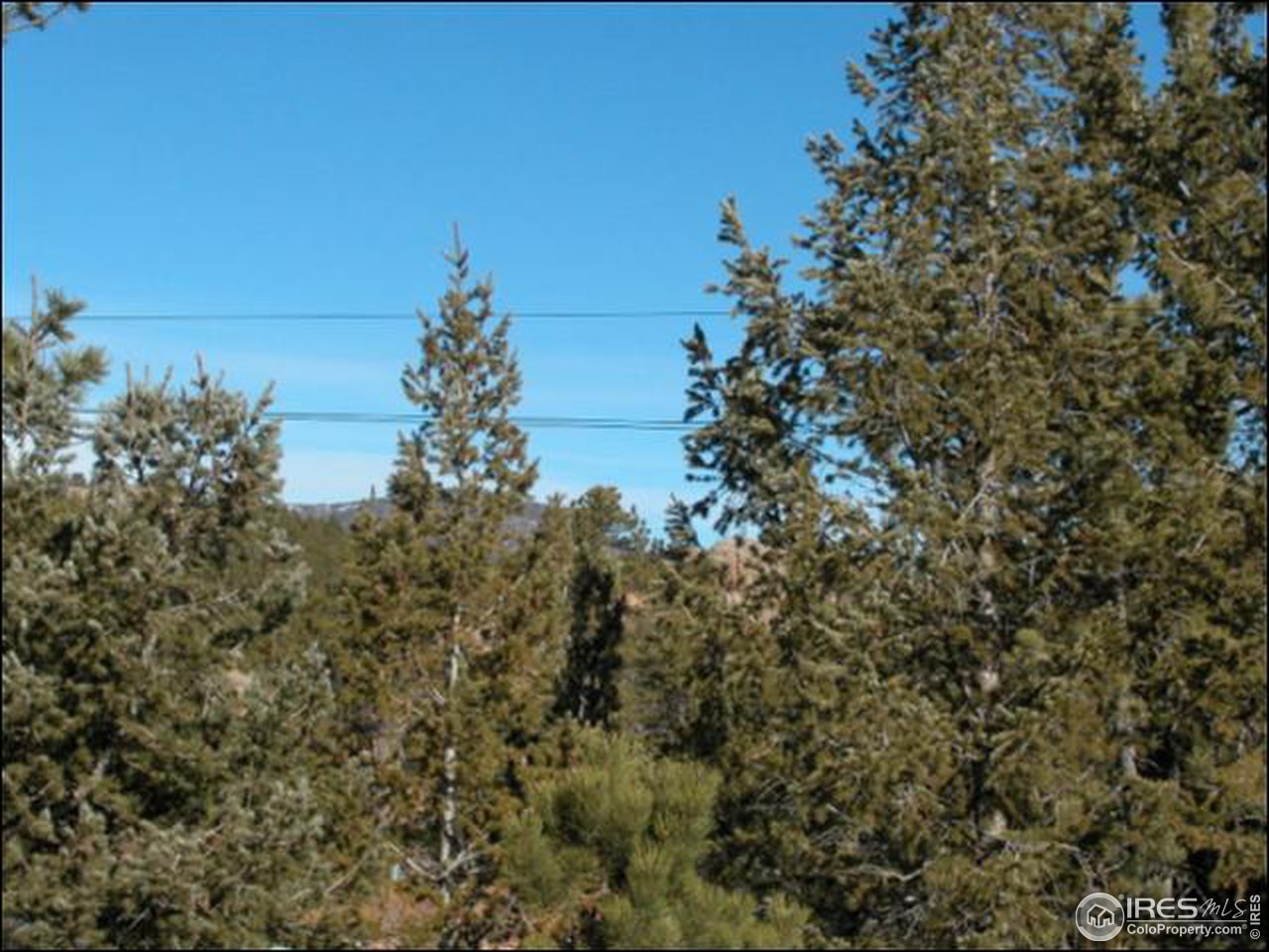 39 Sinissippi Road Red Feather Lakes, CO 80545 - Photo 6 of 9 Gallery Image 6