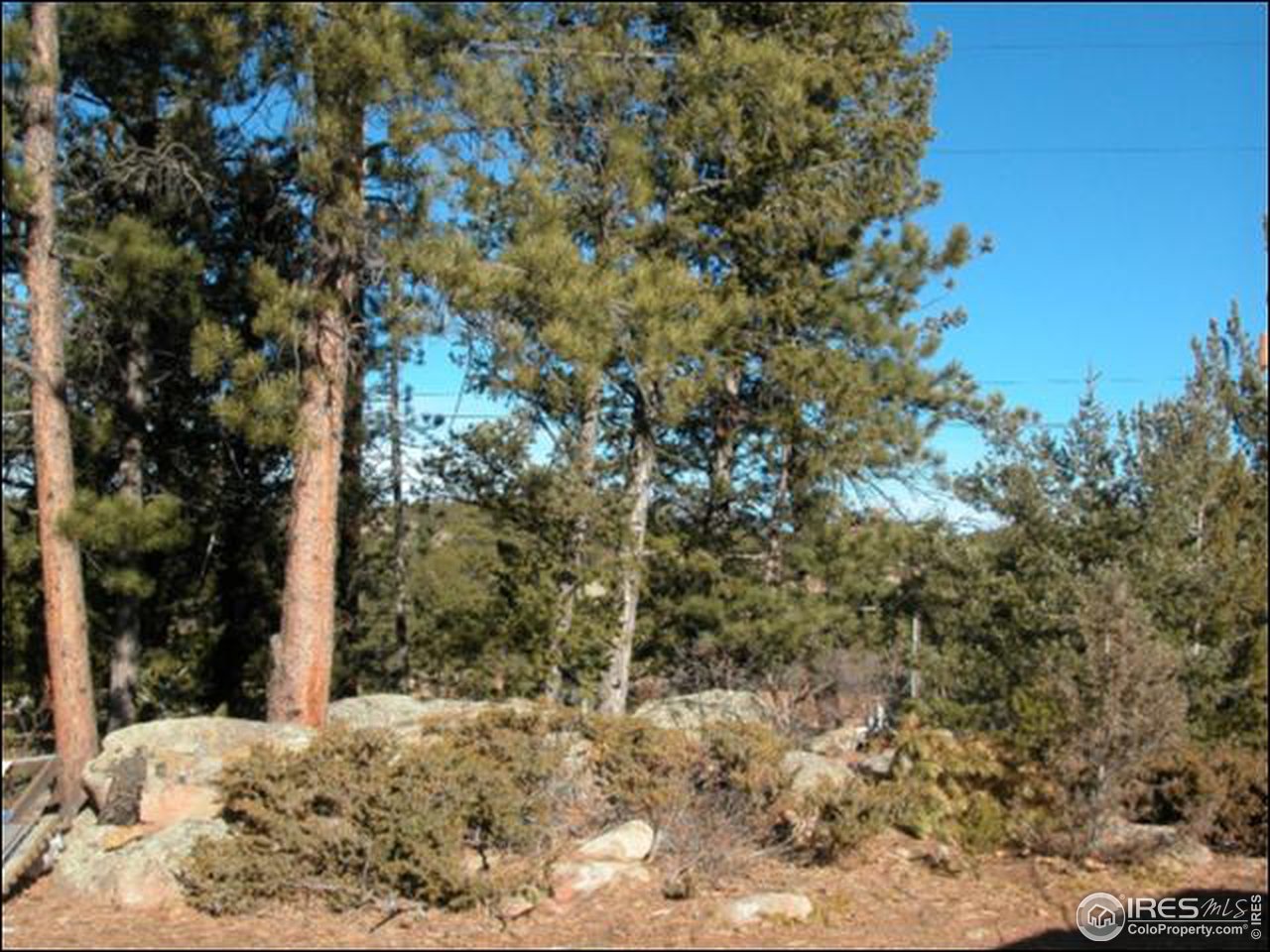 39 Sinissippi Road Red Feather Lakes, CO 80545 - Photo 7 of 9 Gallery Image 7