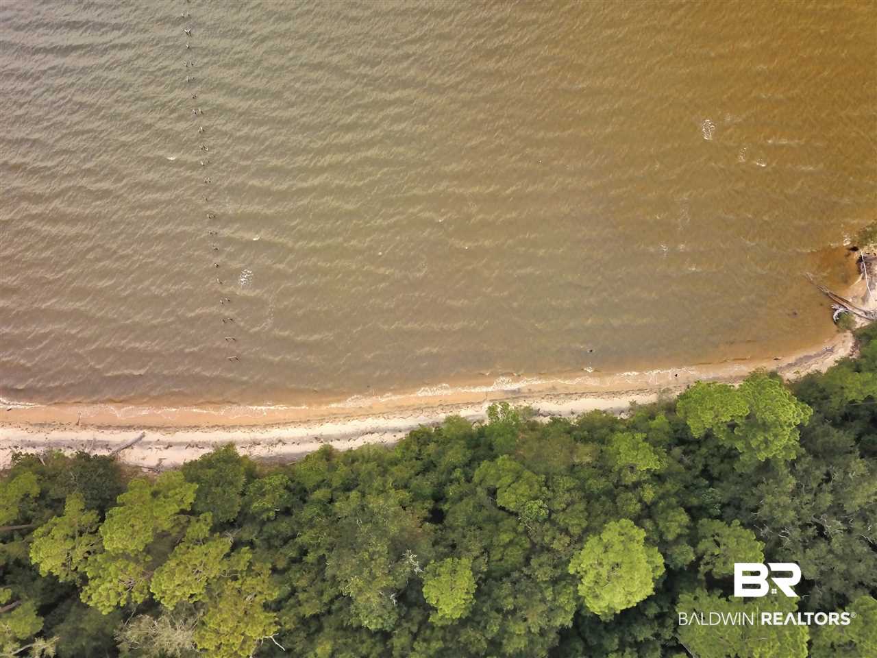 10300 County Road 99 Lillian, AL 36549 - Photo 6 of 14