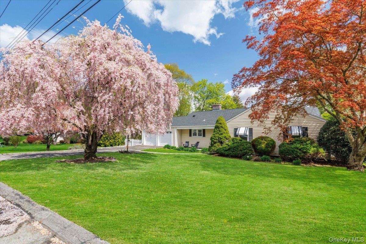 17 Rock Ridge Drive Rye Brook, NY 10573 - Photo 3 of 37