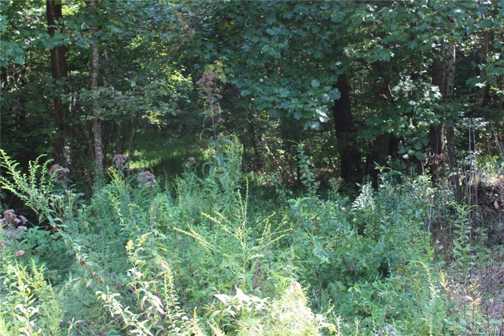 7.27-ac Coolbrook Road Union Grove, NC 28689 - Photo 2 of 48