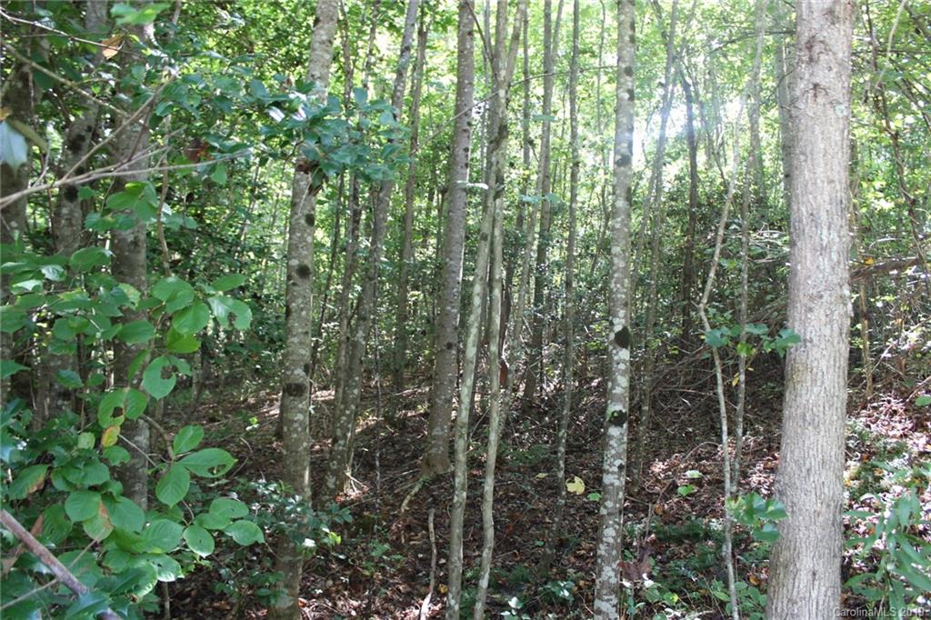 7.27-ac Coolbrook Road Union Grove, NC 28689 - Photo 11 of 48