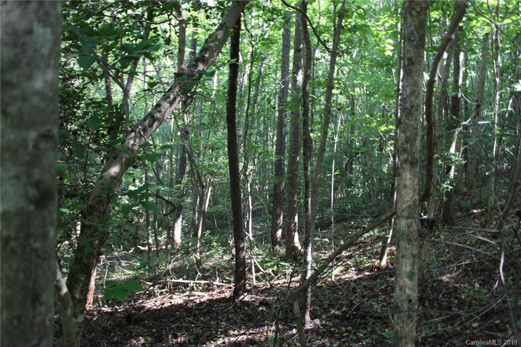 7.27-ac Coolbrook Road Union Grove, NC 28689 - Photo 12 of 48
