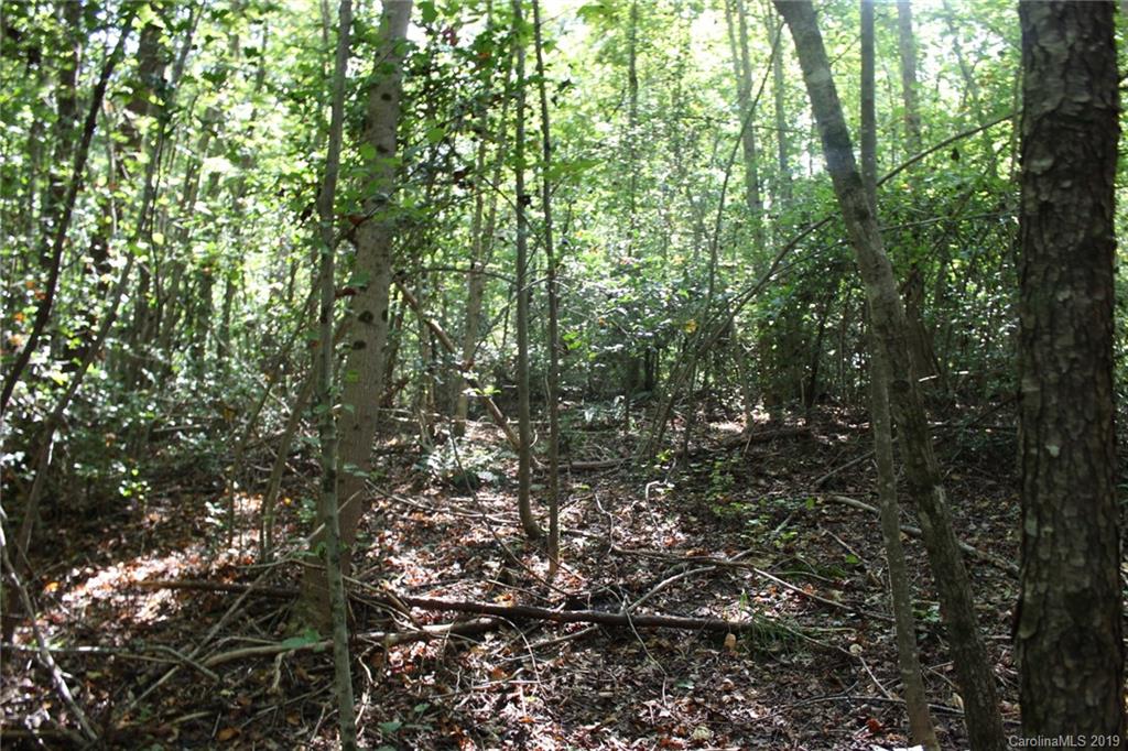 7.27-ac Coolbrook Road Union Grove, NC 28689 - Photo 13 of 48
