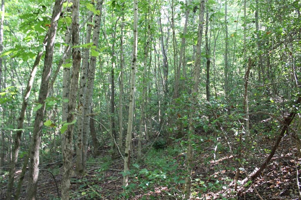 7.27-ac Coolbrook Road Union Grove, NC 28689 - Photo 14 of 48