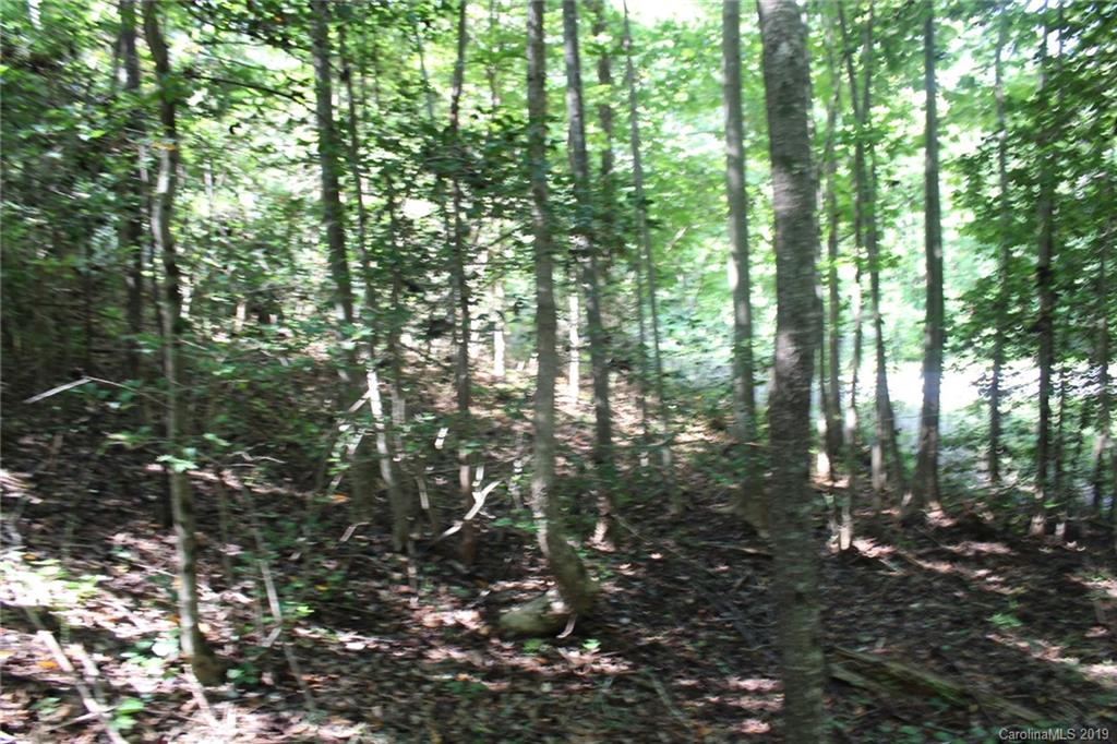 7.27-ac Coolbrook Road Union Grove, NC 28689 - Photo 17 of 48