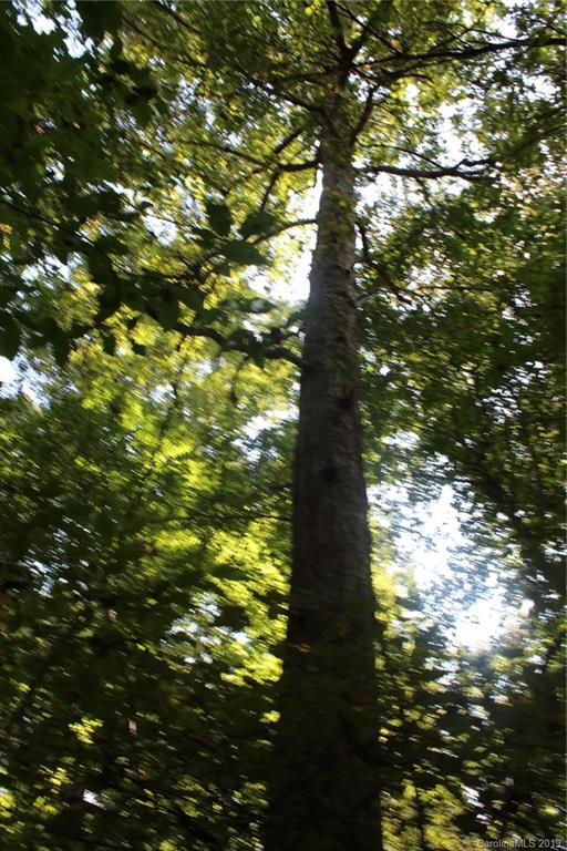 7.27-ac Coolbrook Road Union Grove, NC 28689 - Photo 18 of 48
