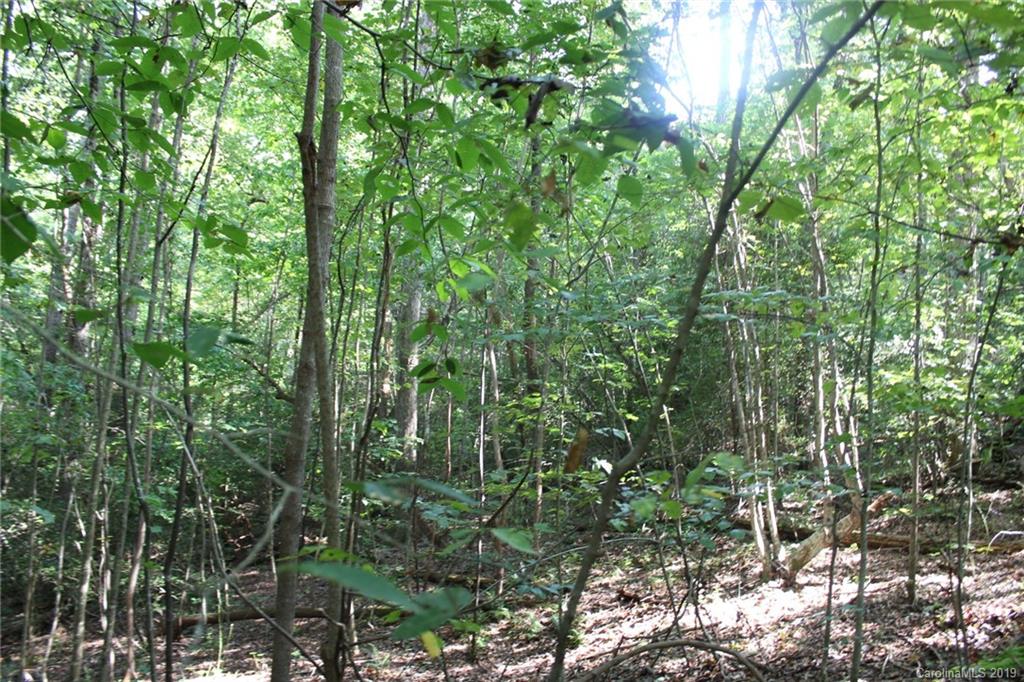 7.27-ac Coolbrook Road Union Grove, NC 28689 - Photo 19 of 48