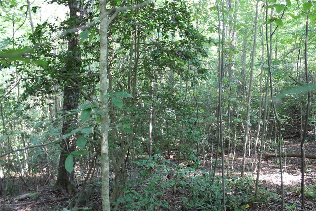 7.27-ac Coolbrook Road Union Grove, NC 28689 - Photo 20 of 48