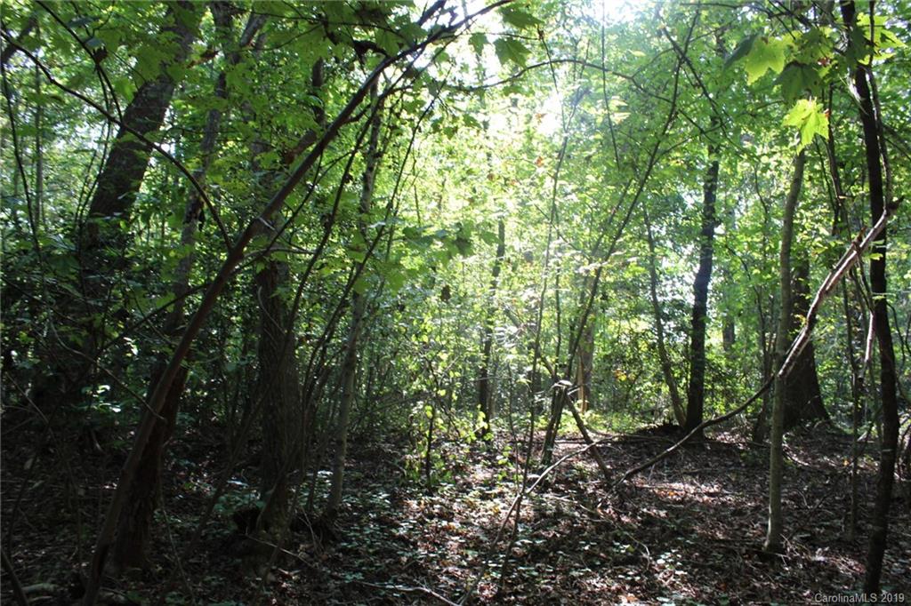 7.27-ac Coolbrook Road Union Grove, NC 28689 - Photo 21 of 48