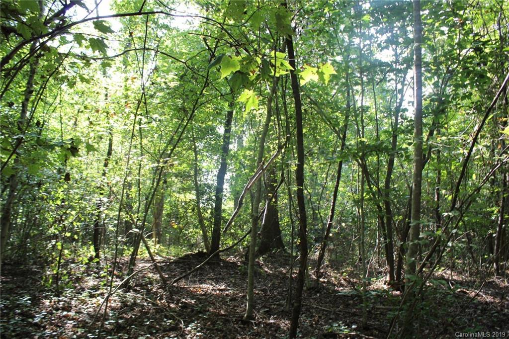 7.27-ac Coolbrook Road Union Grove, NC 28689 - Photo 22 of 48