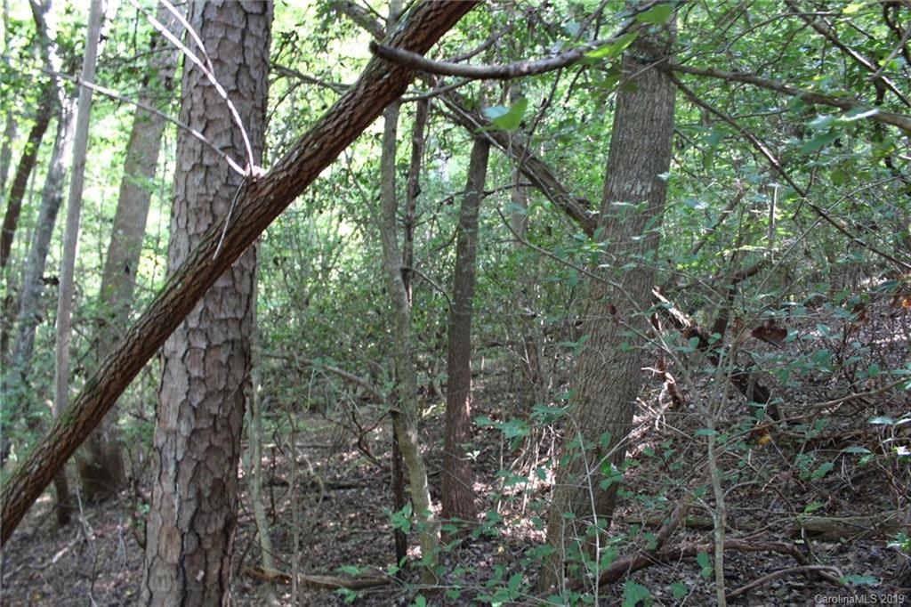 7.27-ac Coolbrook Road Union Grove, NC 28689 - Photo 23 of 48