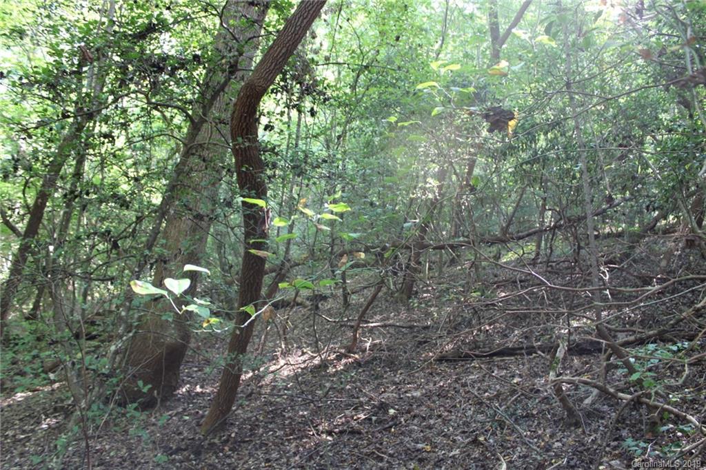 7.27-ac Coolbrook Road Union Grove, NC 28689 - Photo 25 of 48