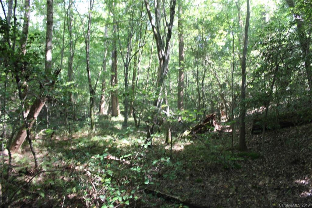 7.27-ac Coolbrook Road Union Grove, NC 28689 - Photo 28 of 48