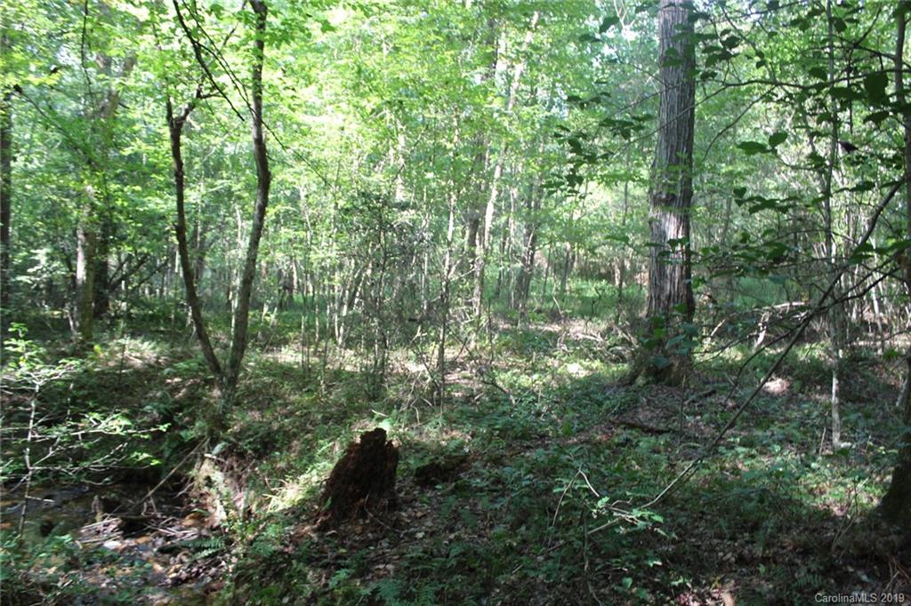 7.27-ac Coolbrook Road Union Grove, NC 28689 - Photo 32 of 48