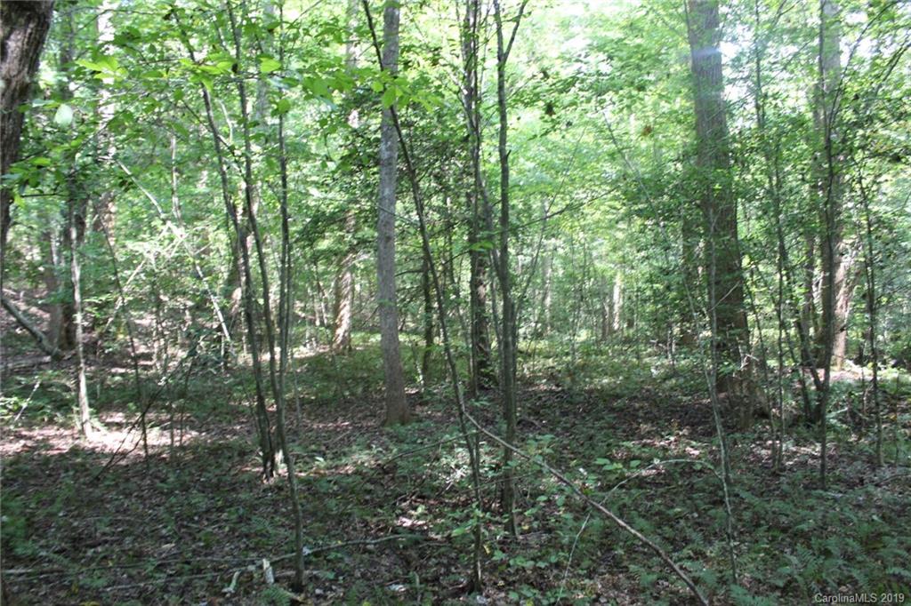7.27-ac Coolbrook Road Union Grove, NC 28689 - Photo 34 of 48