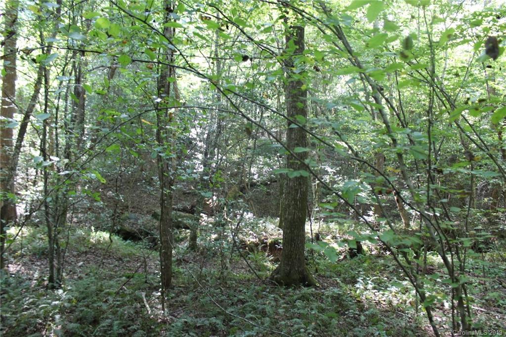 7.27-ac Coolbrook Road Union Grove, NC 28689 - Photo 35 of 48