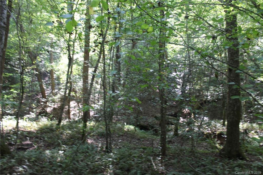 7.27-ac Coolbrook Road Union Grove, NC 28689 - Photo 36 of 48