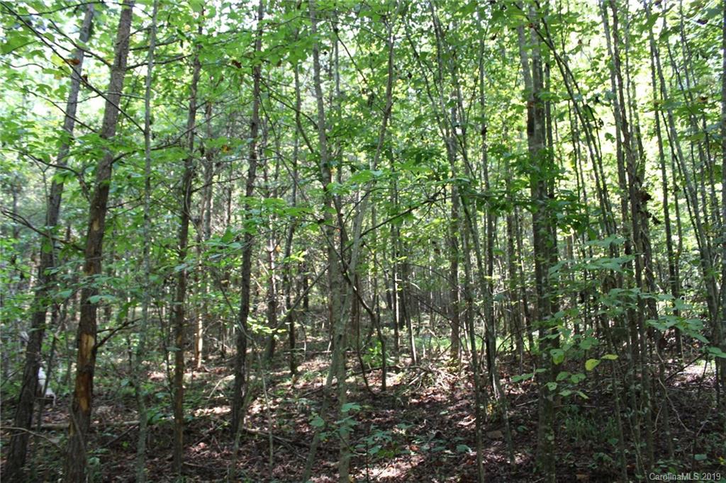 7.27-ac Coolbrook Road Union Grove, NC 28689 - Photo 37 of 48