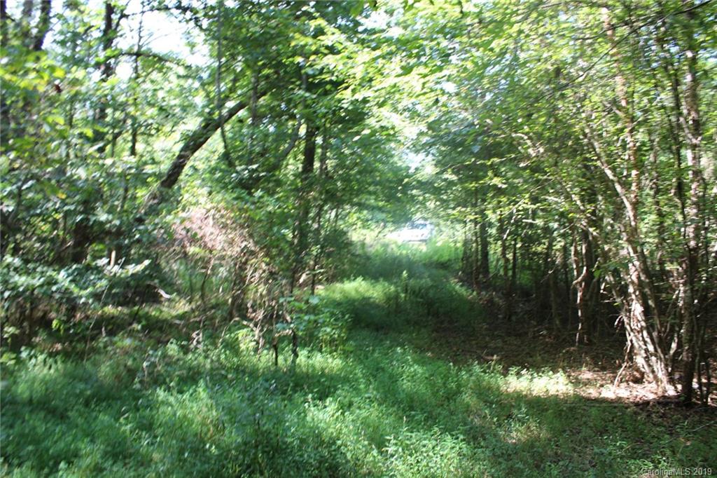7.27-ac Coolbrook Road Union Grove, NC 28689 - Photo 38 of 48