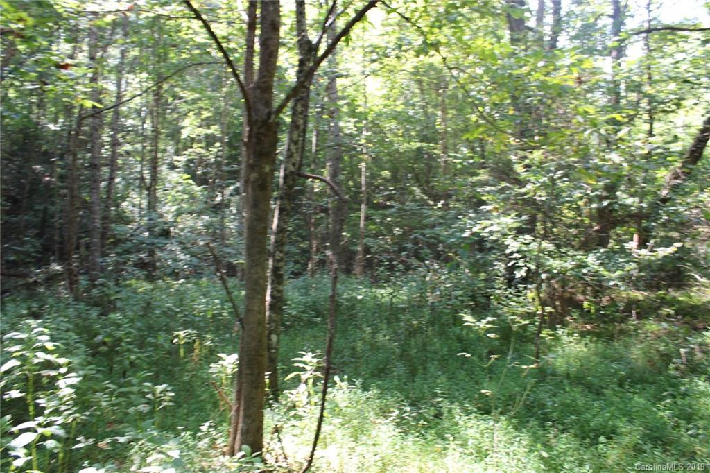 7.27-ac Coolbrook Road Union Grove, NC 28689 - Photo 39 of 48