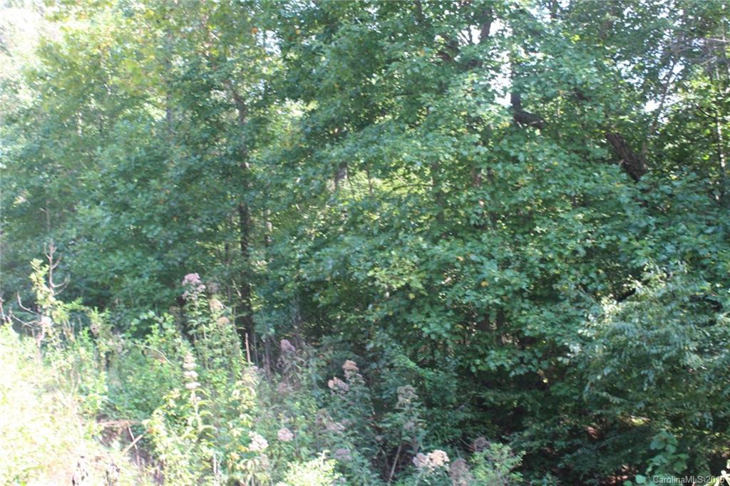 7.27-ac Coolbrook Road Union Grove, NC 28689 - Photo 5 of 48