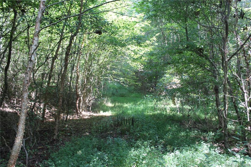 7.27-ac Coolbrook Road Union Grove, NC 28689 - Photo 41 of 48