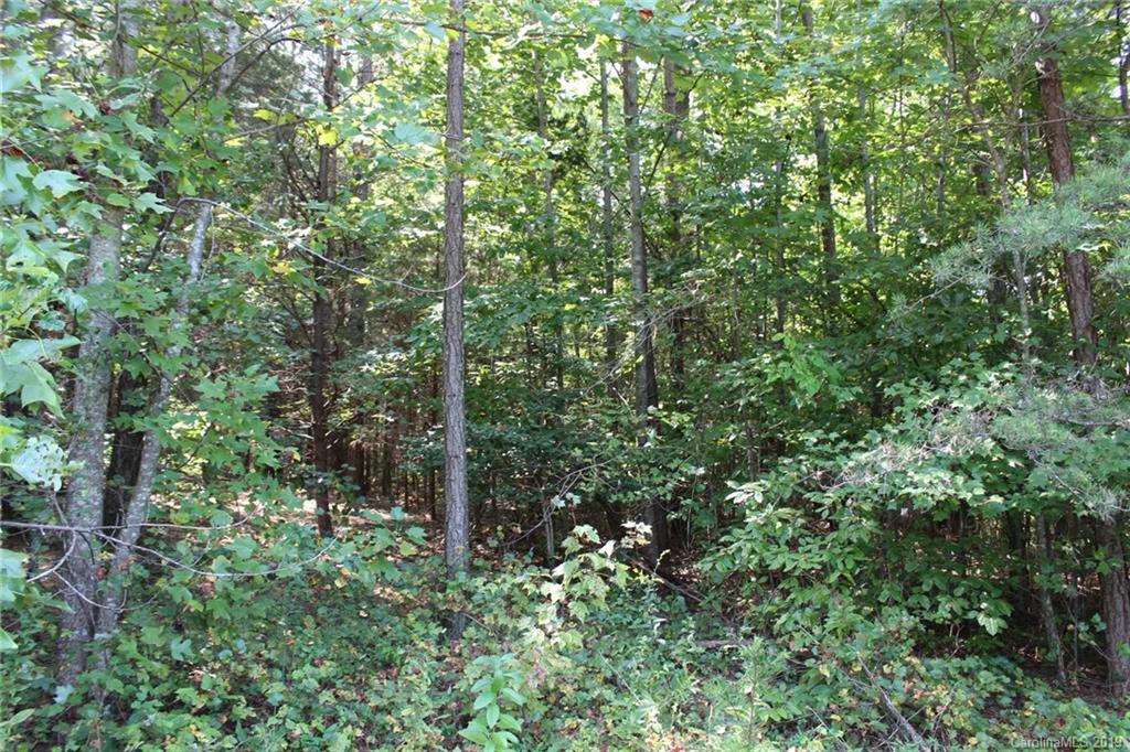 7.27-ac Coolbrook Road Union Grove, NC 28689 - Photo 43 of 48
