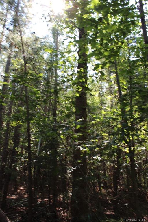 7.27-ac Coolbrook Road Union Grove, NC 28689 - Photo 44 of 48